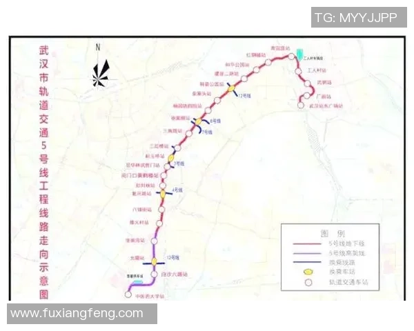 武汉排球队近期表现分析与未来发展方向探讨